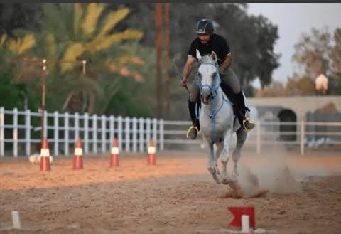 “اتحاد الفروسية” يختتم برنامجه التدريبي لرياضة التقاط الأوتاد